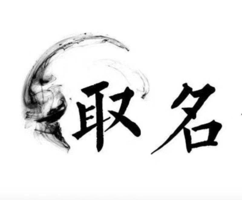  坊子宝宝取名 大师一对一人工起名